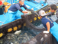 沖縄旅行って12月ベストシーズンでは(*^▽^*)、２泊３日で山も海も！　３日目