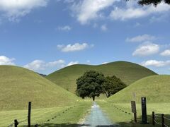 夏の釜山旅行②
