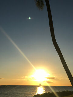 ３年ぶりのハワイ島　ーーー２４日目ーーー