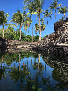 ３年ぶりのハワイ島　ーーー２６日目ーーー