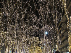 仙台光のページェントを見に