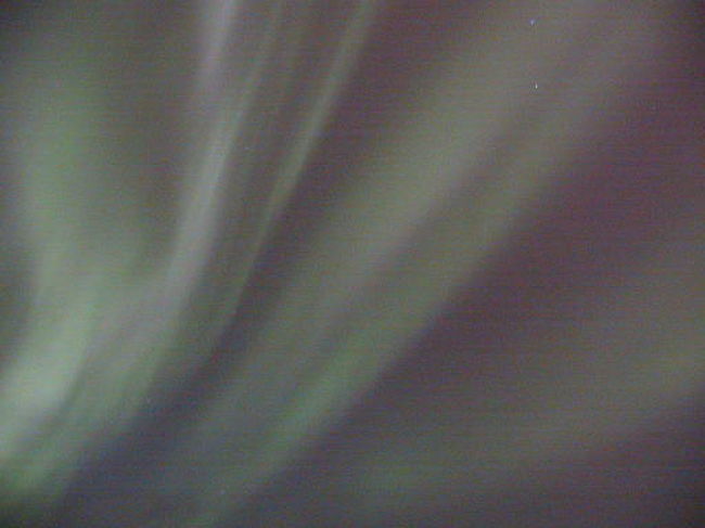 三日目の夜ハシュッタのホテルの上、出ました動きの激しいこと