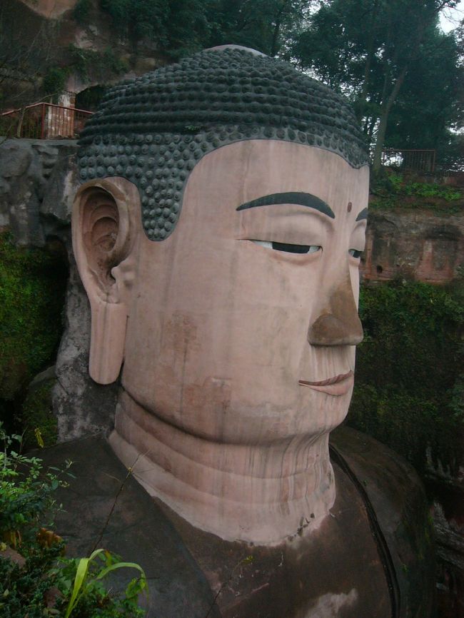 これぞ世界遺産！楽山大仏です。頭だけしか写ってないけれど，本当におっきいですよ。