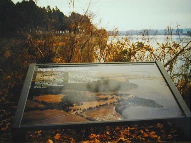 ジョージ ワシントンの生家 バージニア州 George Washington Birthplace Virginia バージニア州 アメリカ の旅行記 ブログ By Mkさん フォートラベル ジョージ ワシントンの生家 バージニア州 George Washington Birthplace Virginia バージニア州 アメリカ の旅行記 ブログ By Mkさん フォートラベル