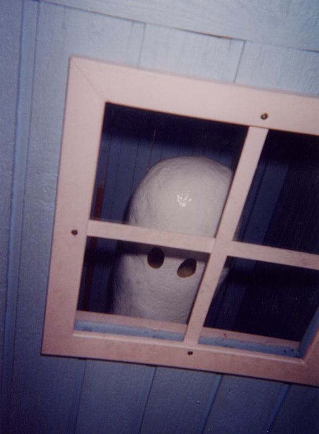 何気なく家を覗くとそこに<br />ニョロニョロがいたり…。<br />あちこちに遊びがいっぱいです。