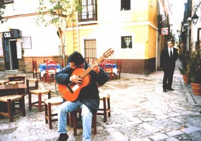 流しのジプシーのギター演奏が、余りにもお粗末だったので私が代わりに演奏しました