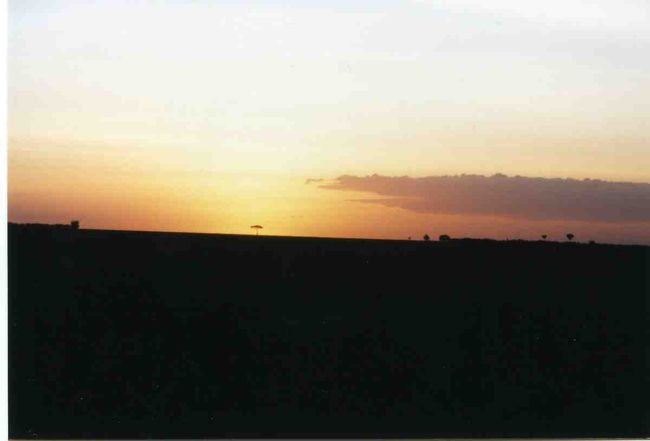 きれいなケニアの朝やけです。マサイマラ国立公園にて。何気ないものがすごくきれいなんです。