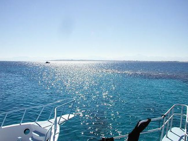 まぶしい日差しと風、とっても気持ちいい昼下がり