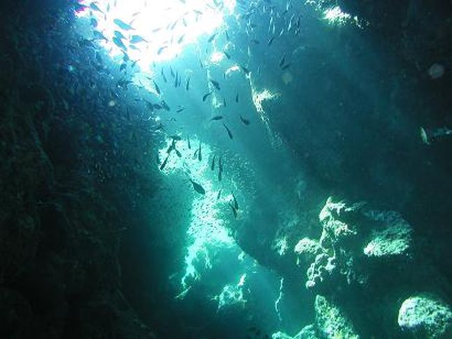 地形もなかなかすごくて、キンギョハナダイの群れやドロップオフもポイントがいっぱいあります