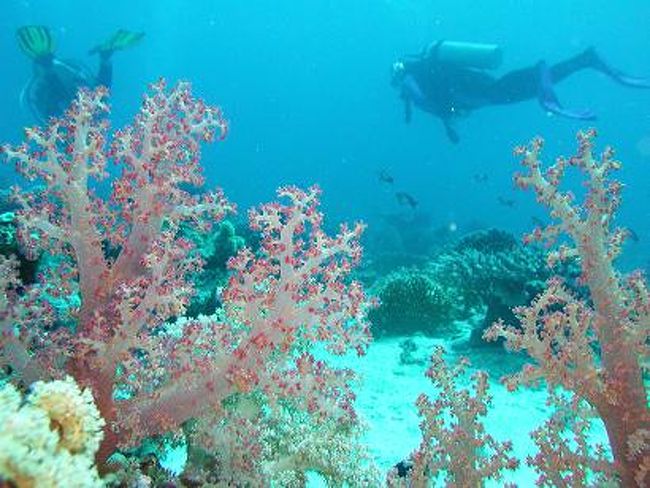 ロシアのキリーさんはバディでした