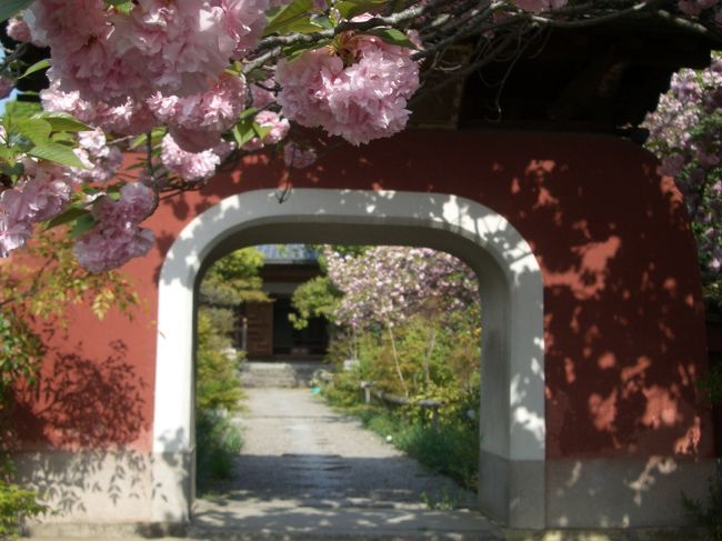 京阪伏見稲荷駅orＪＲ稲荷駅から山に向かって歩くこと10数分。疲れた〜と思う頃に、石峰寺のこんな不思議な門が迎えてくれます。