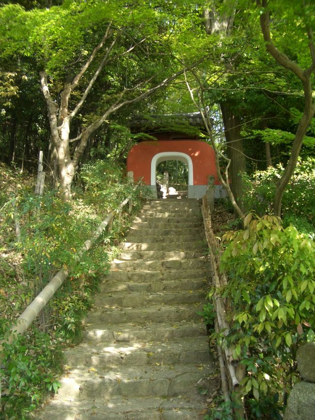 お寺の中に入ってから、また裏山に登る階段・階段…