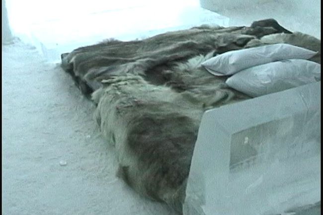 暖かそうなトナカイの皮が敷かれた氷のベッドの上で、<br />シュラフにくるまってぐっすりと一晩を過ごしました。