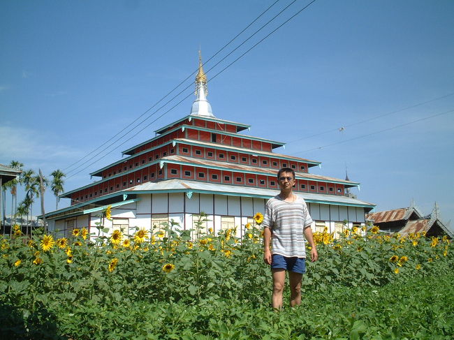 「ひまわりと俺」インレー湖ボートツアー中のひとこま。貸し自転車でサイクリング！温泉もありますよ♪