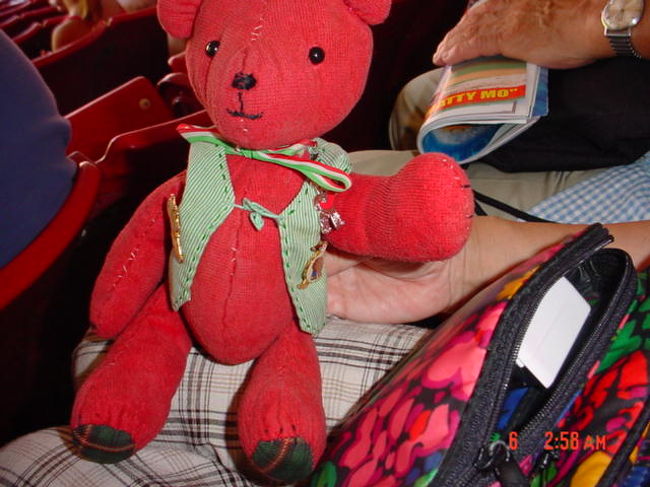 じ〜こちゃんも応援中。<br />カージナルスカラーです。