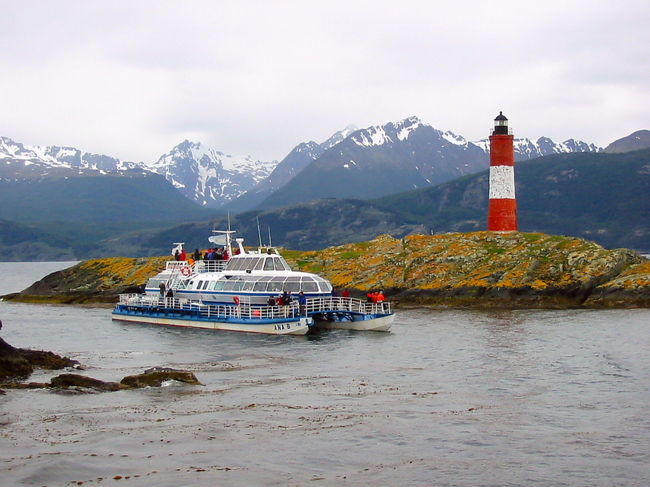 ビーグル水道クルーズ、ウシュアイアから出発してしばらくするとペンギンの姿もチラホラ