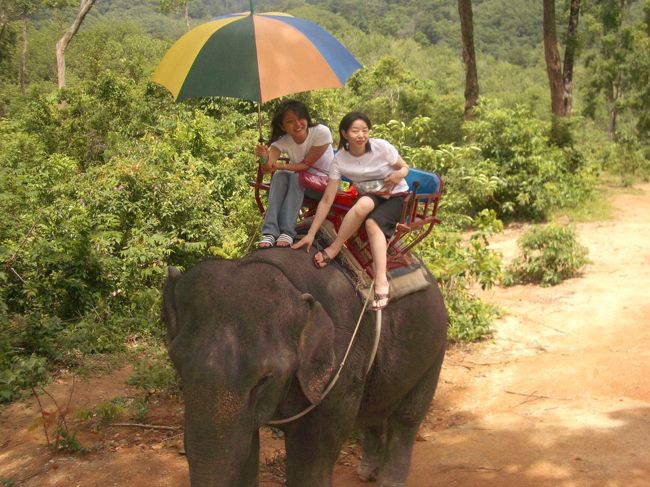 ２日目。始めて像に乗りました。大きくてびっくり！一歩一歩が大きくすごく揺れるので、落ちないようにするのが精一杯。途中、像さんは歩くのが嫌になったのか、私たちが嫌いだったのか歩くのを放棄。像使いの人に「マ〜。マ〜。」と言われていました。進めって意味？
