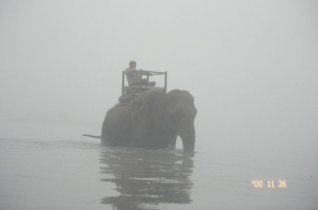 ロイヤルチトワン国立公園