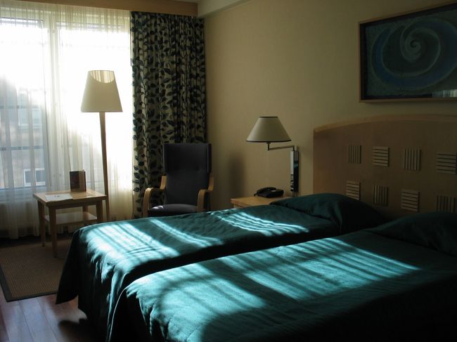 ラウマを後にして、ヘルシンキに戻ります。<br /><br />今日泊まるヘルシンキのホテルは「ラディソン・SAS・プラザ」<br />今回の旅で１番豪華なホテルです。<br /><br />☆７日目以降は次回旅行記に続きます☆