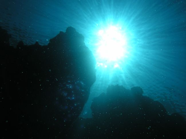 上を見ると幻想的。いつまでも海の中にいたいかんじｗ