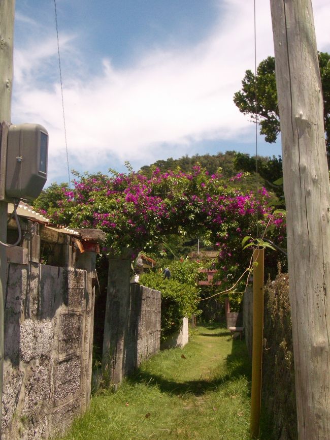 道の間に花のアーチが☆たいてい道は狭く、入り組んでいました。