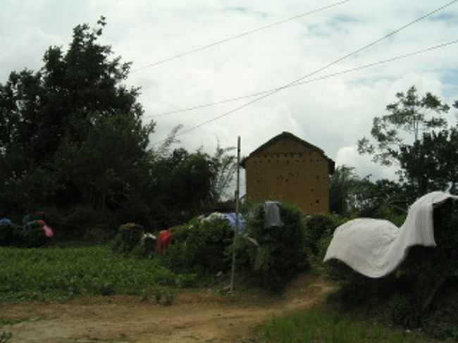 洗濯物は植物の上に広げておく。