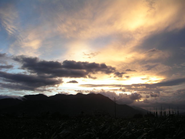 ずっと床に伏せていたマミーがSurajとMonishとともにごちそうを作って待っていてくれた。好物のポテトとダニヤのアチャールも！とってもおいしかった。<br />初日から温かく迎えてくれて、かわいがってくれた家族に感謝。<br />また絶対に会いたいと思う。<br />