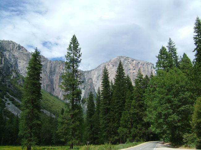 公園内の道路。一方通行だ。
