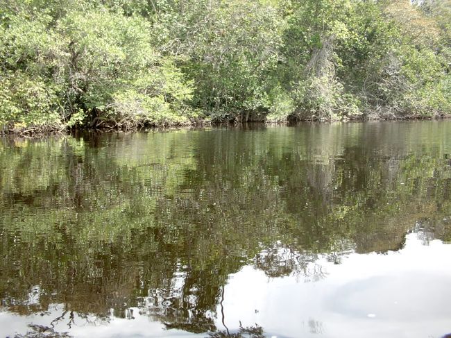 天気も良くて気持ちいい