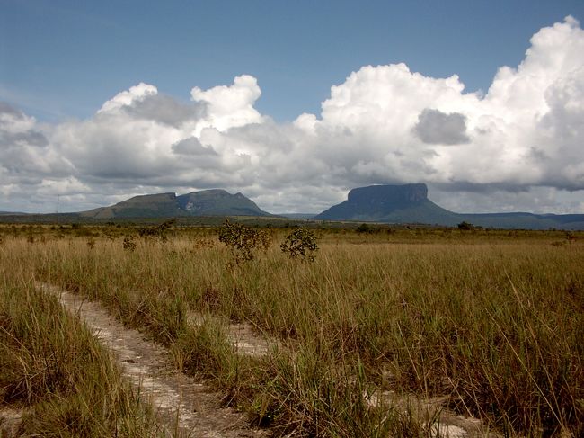 作り物のようないい景色