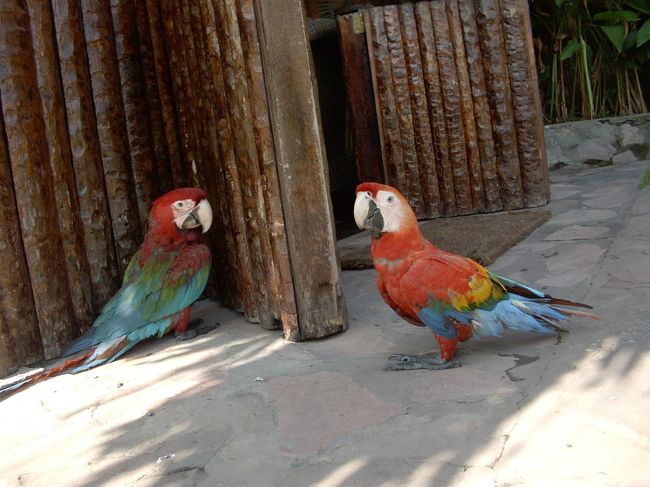 すこしかわいそう