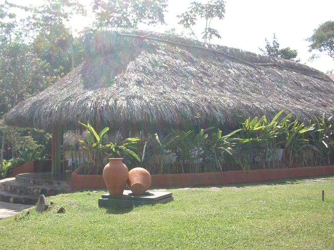 ここがレストラン