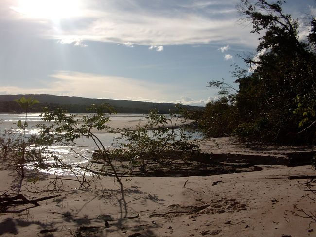こう見えても、ピンクの砂浜