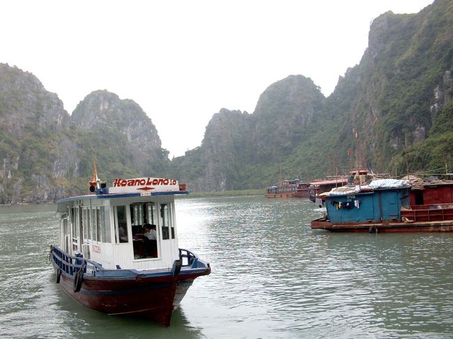 ふねがいっぱい<br />さすが世界遺産