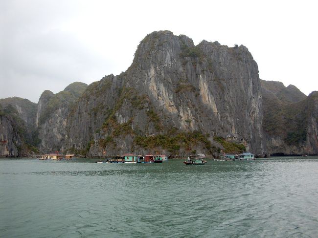 魚を養殖している