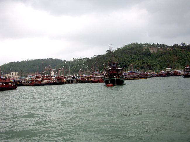 それにしても船が多い