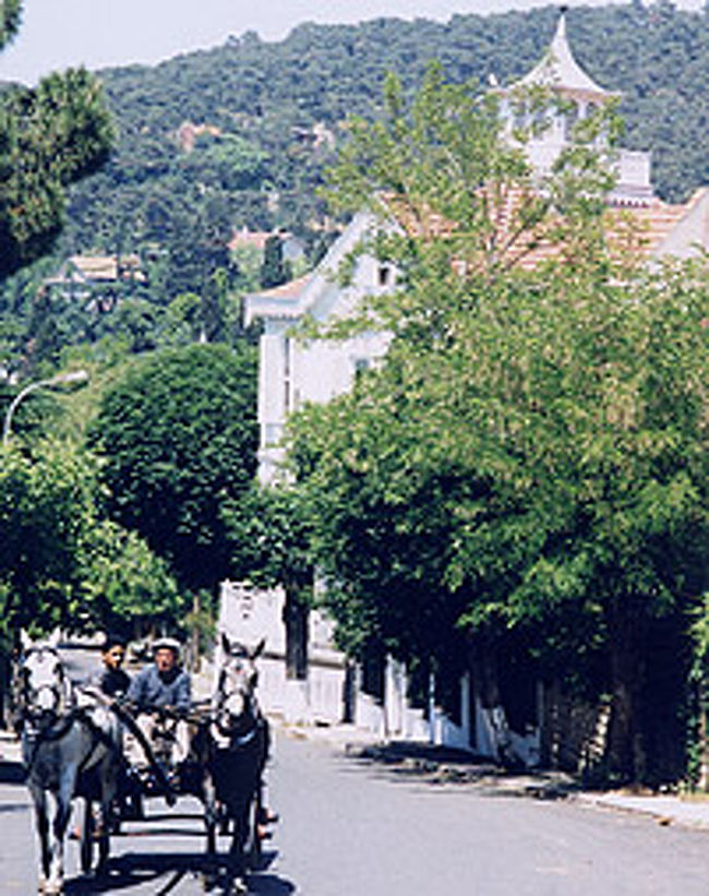 プリンスズ諸島は車乗り入れ禁止なので交通手段は馬車か自転車。<br />プリンスズ諸島の旅行記はコチラ↓<br />http://tabiatama.cool.ne.jp/turk/ada3.htm