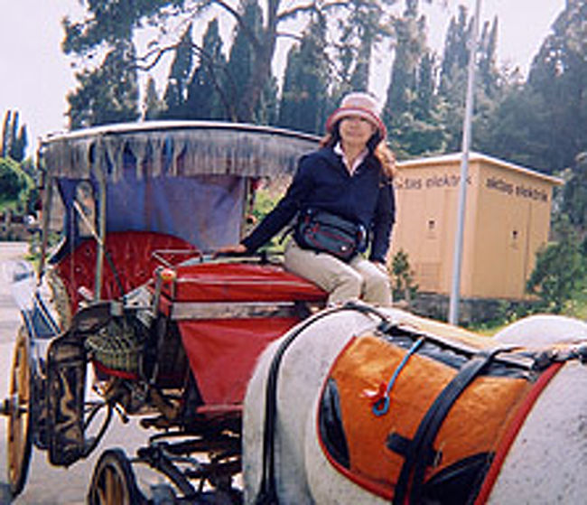 ビュユック島で馬車に乗る