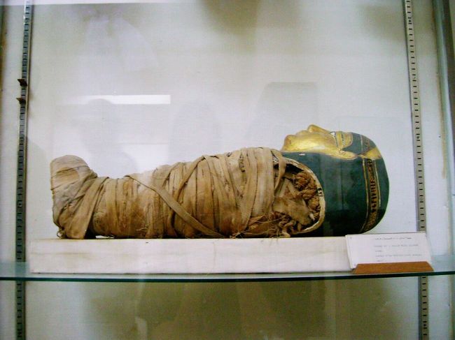 子供のミイラを入れていた棺です。
