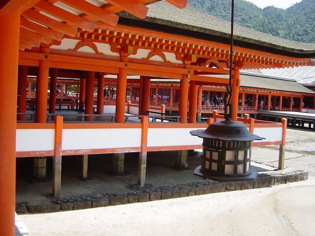 やっぱ、綺麗ですよ！！