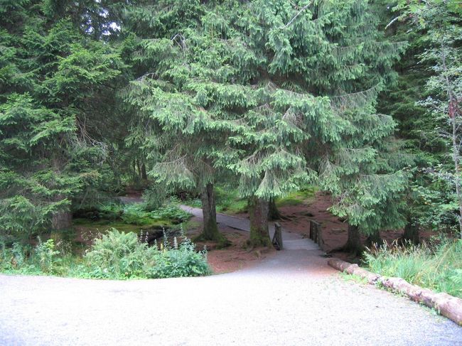 フロイエン山にある小さなピクニック・エリアから森林へのちっぽけな流れにかかる小さな木製の橋があるの入口<br /><br />An entrance of woods with a little wooden bridge over a tiny stream from a small picnic area on Fl&amp;oslash;yen