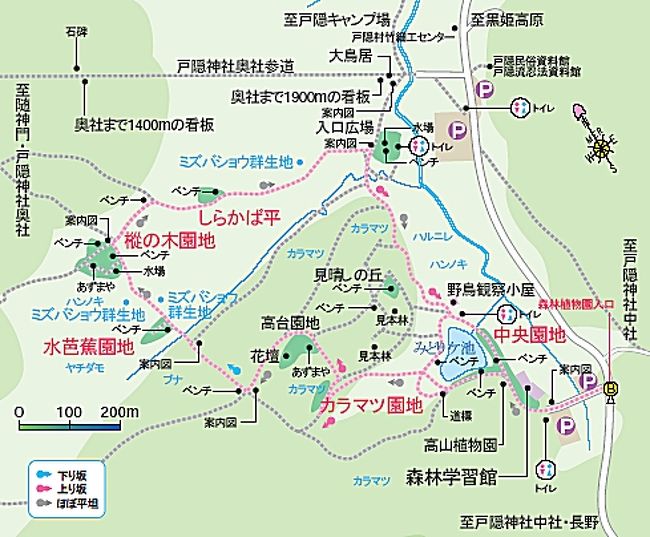 飛騨 新穂高 しらかば平 岐阜県の旅行記 ブログ By あさや んさん フォートラベル