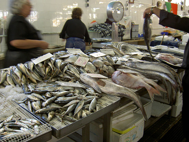 まずは家の近くのカスカイス市場へ。ポルトガルと言えば魚でしょう。日本の魚屋さんに比べると、鮮度に対するこだわりはあまりないみたい。ハエとかもブンブン飛んでるし。生食する習慣がないからかな？（スーパーに売っている魚の状態はもう少し良いらしい）