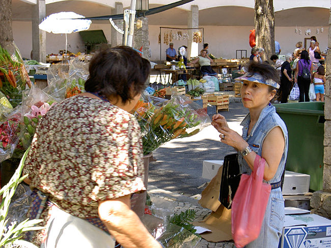 花屋で値段交渉する義母