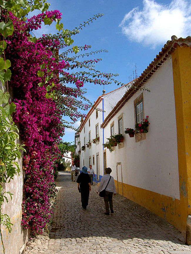 オビドスは城壁で囲まれた白壁と花の街だった。お気に入りの街ナンバー１に決定！