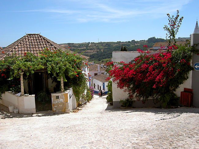 もっとゆっくりしたかったけれど、まだまだ先は長いのでオビドスはここまで。この後、ボルダロの食器が買いたくてカルダス・ダ・ライーニャへ向かうが、工房の場所がわからず。今度来るときは必ず行こうと誓う。