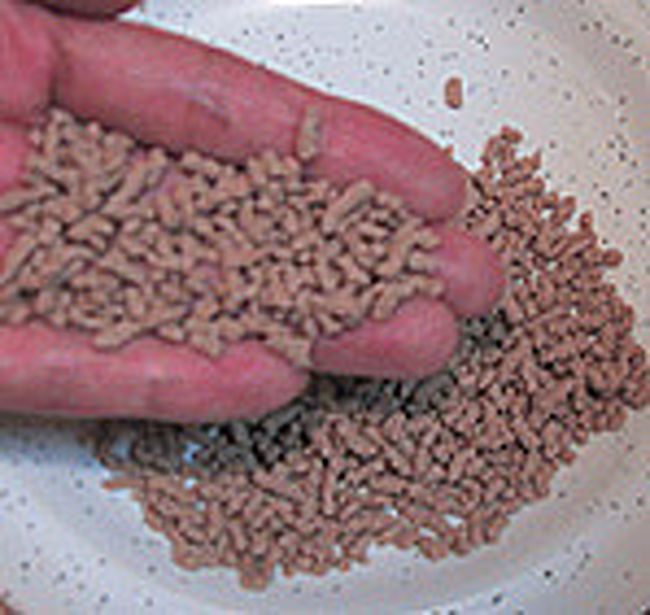 トルコ風アップルティ（エルマチャユ）は<br />このような顆粒のものがオススメです。<br />クチコミのページにリンゴを乾燥させたアップルティの<br />画像を載せていますが、こちらはオススメしません。<br />またALI BABAと書いてある箱入りのものもオススメしません。