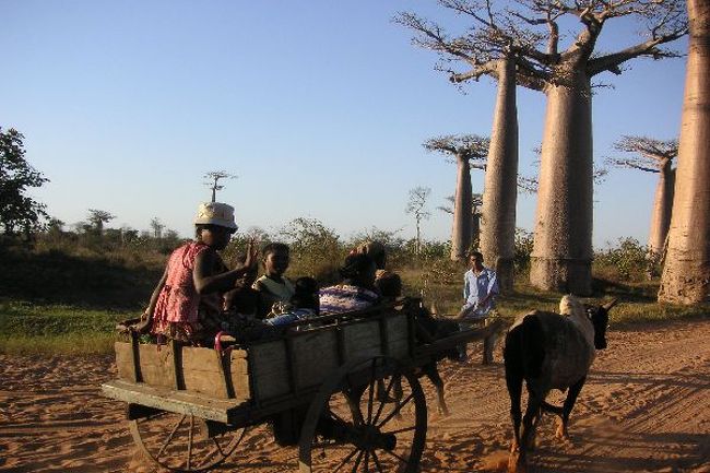チューブのない馬車が行く