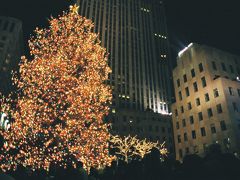 【ホーム アローンでも使われた】

本当にニューヨーク（New York City）でもまｎマンハッタン（Manhattan）は映画のロケ地でもよく使われますね。
ここはロックフェラーセンター（Rockefeller Center）前のクリスマスツリーです。
10m以上はある大きな木がライトアップされています。
映画「ホームアローン２」のラストシーンで使われました。

Rockefeller Center, New York City, New York