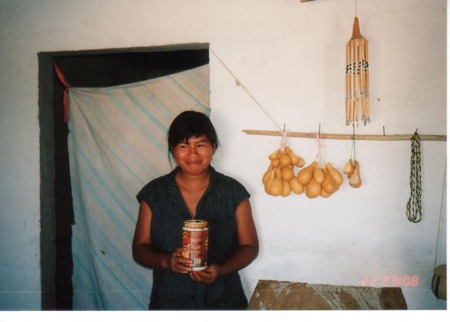 食用の蟻や土産用小物を売っていたインディオの店。